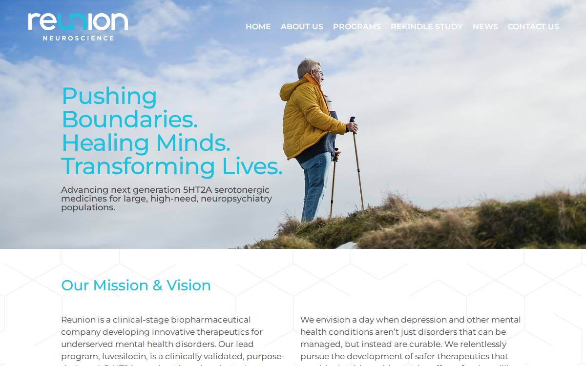 Reunion Neuroscience website preview