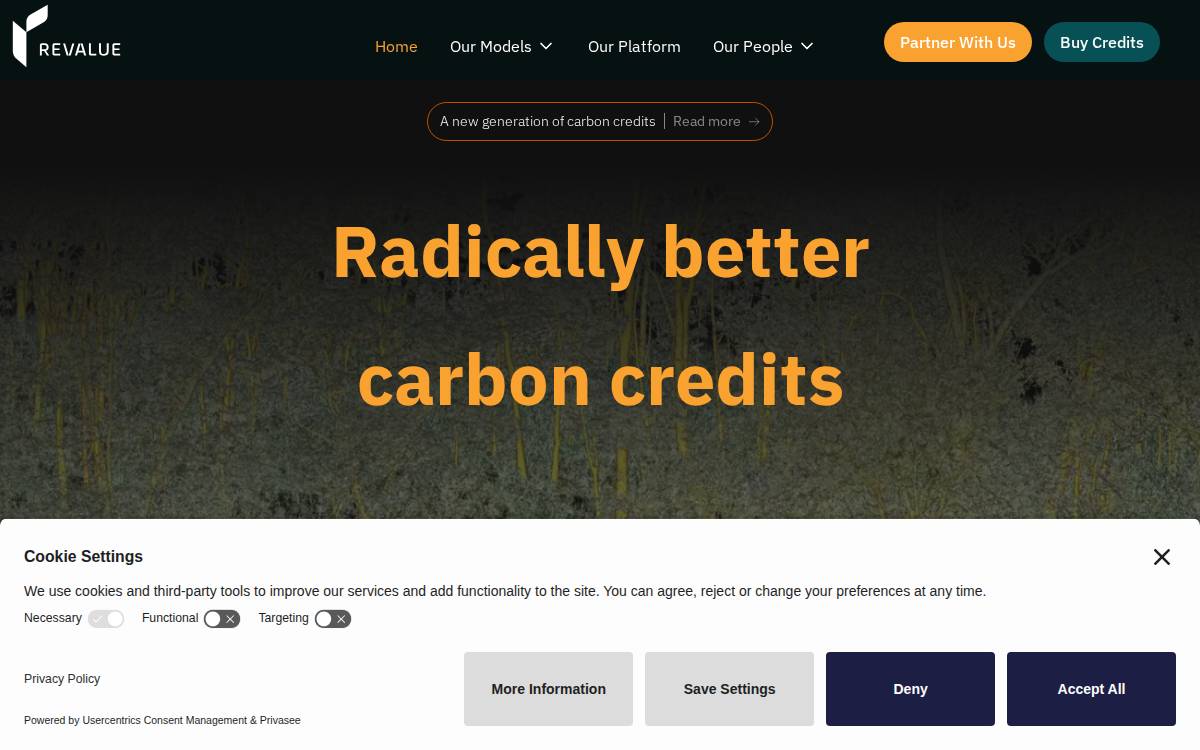 Revalue website preview