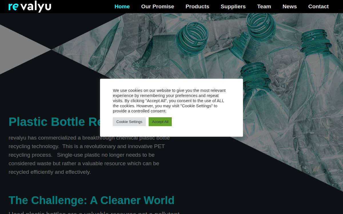 revalyu website preview