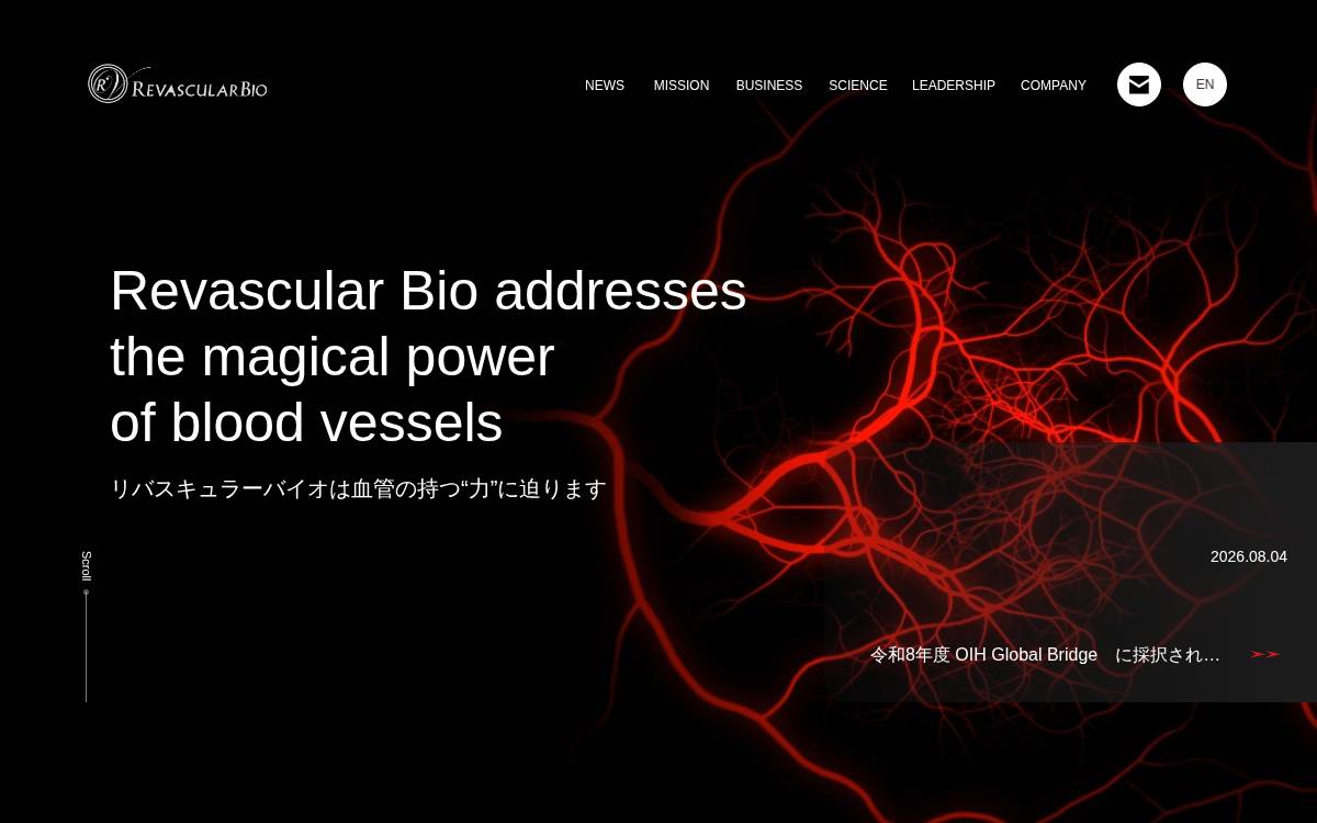 Revascularbio website preview