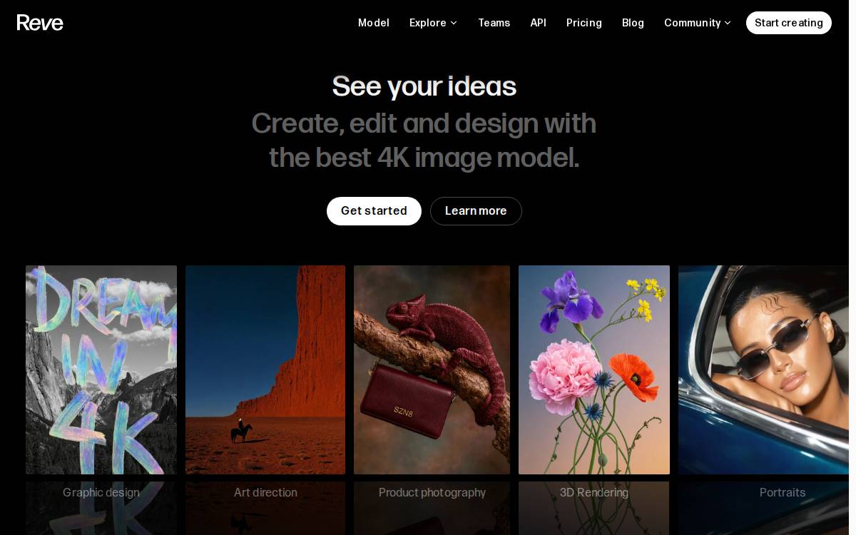 Reve website preview