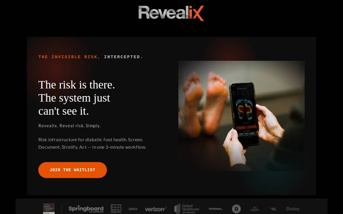 Revealix website preview