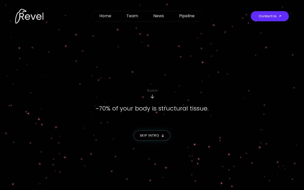 Revel Pharmaceuticals website preview