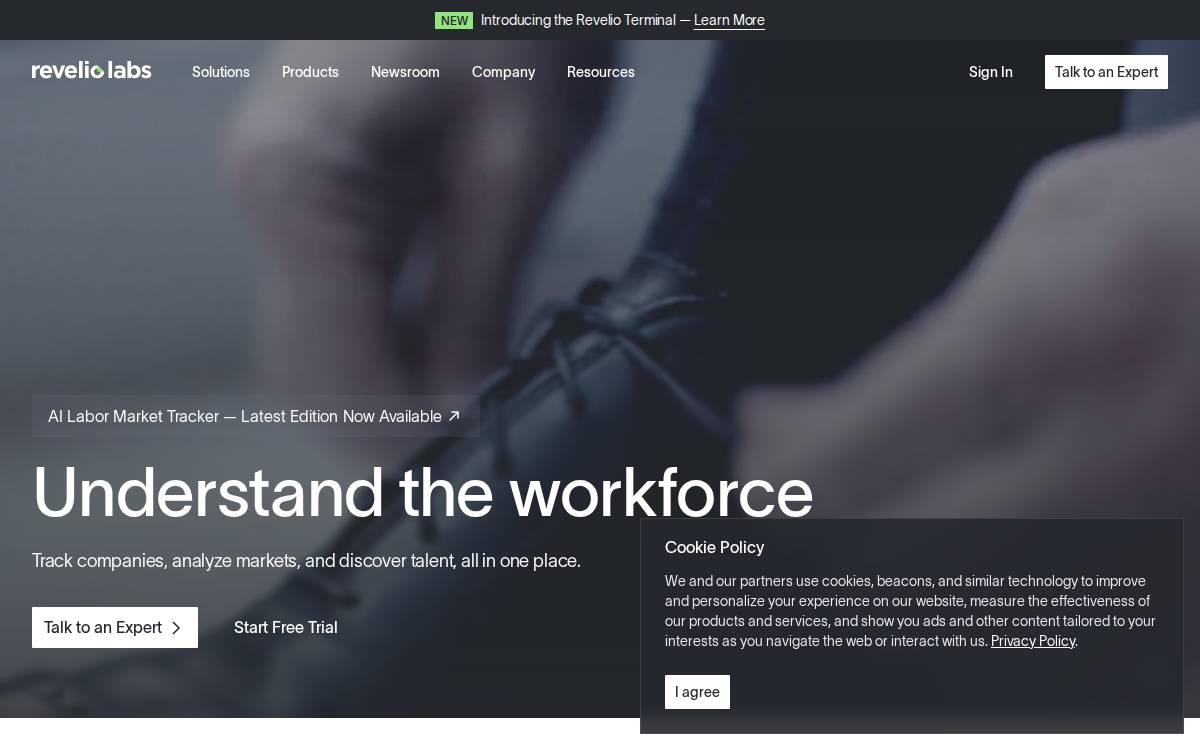Revelio Labs website preview