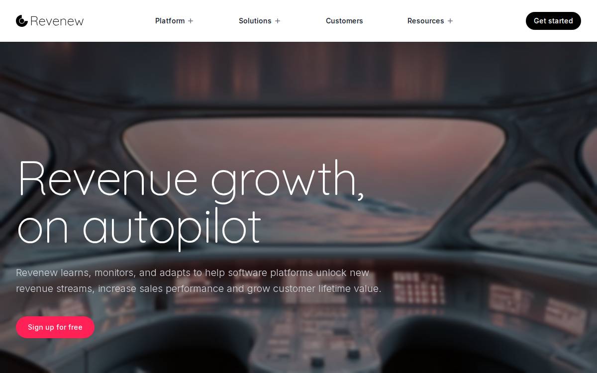 Revenew website preview