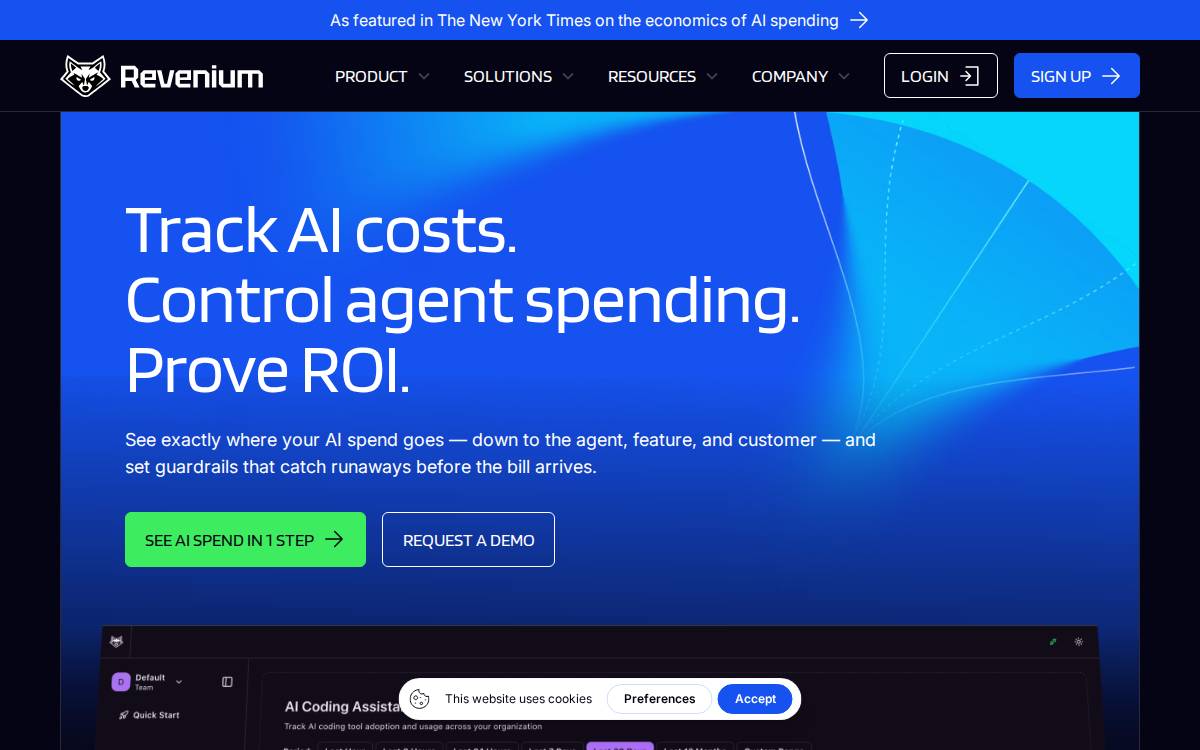Revenium website preview