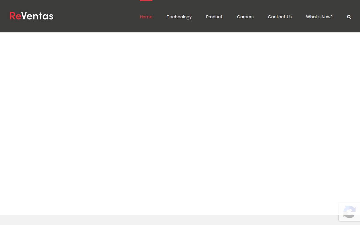Reventas website preview