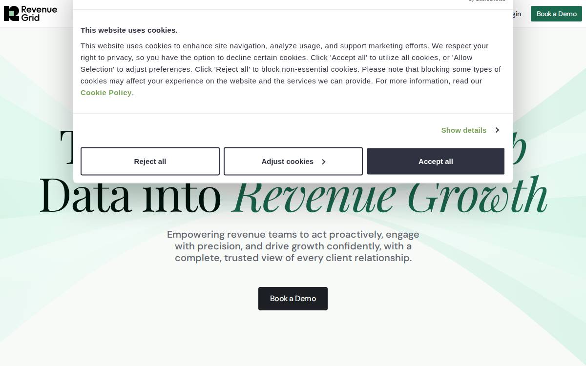Revenue Grid website preview