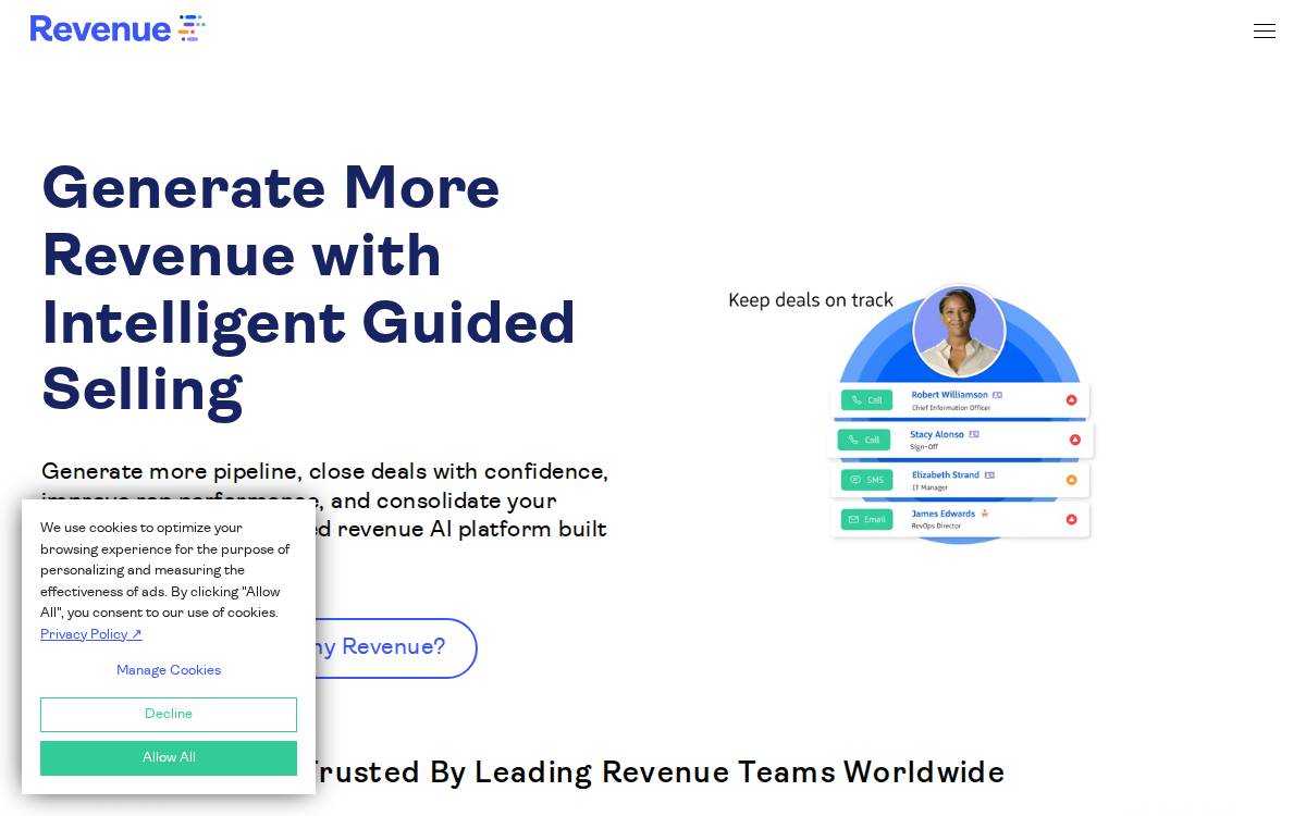 Revenue website preview