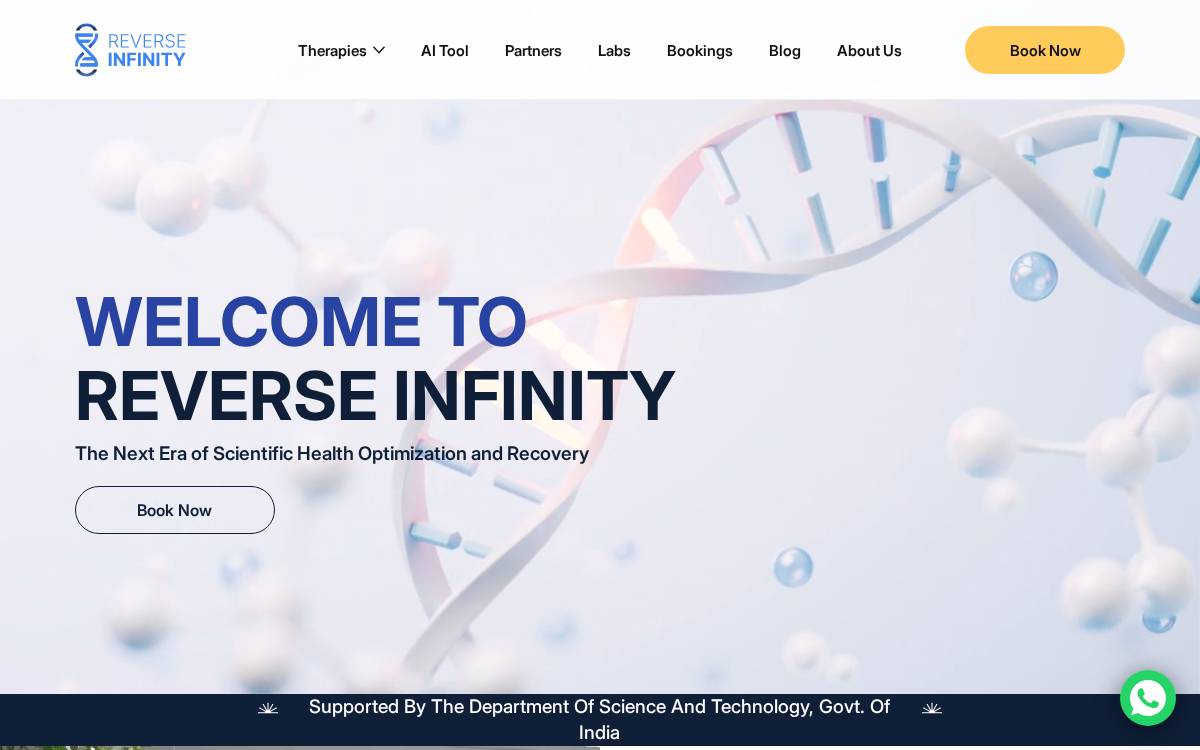 Reverse Infinity website preview