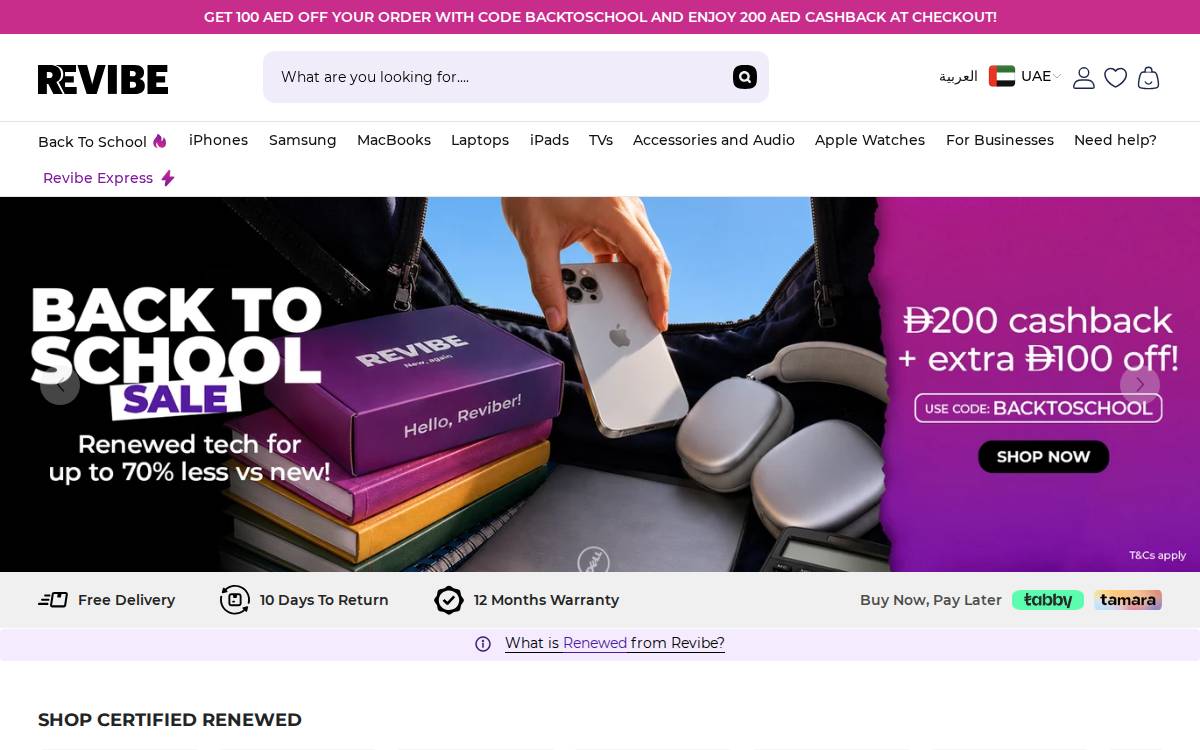 Revibe website preview