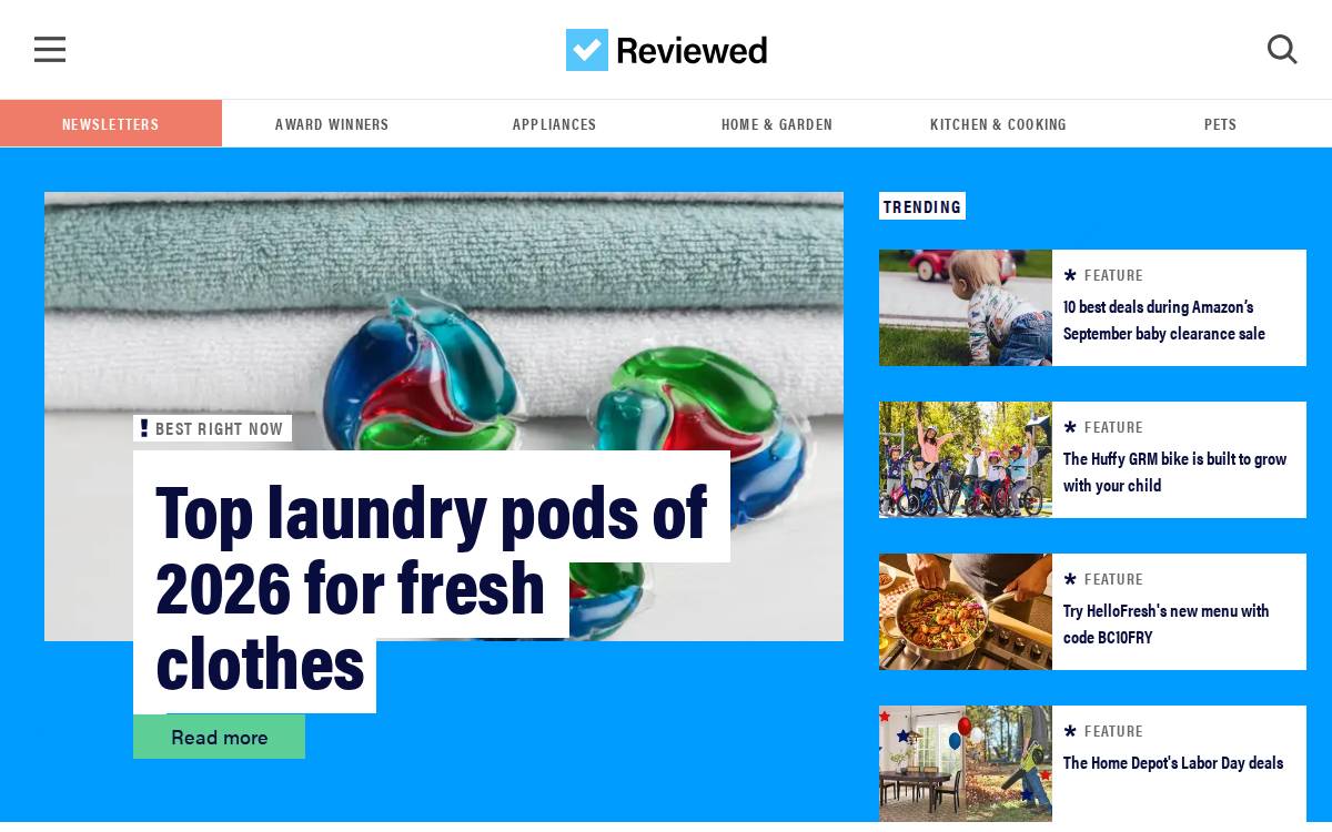 Reviewed website preview