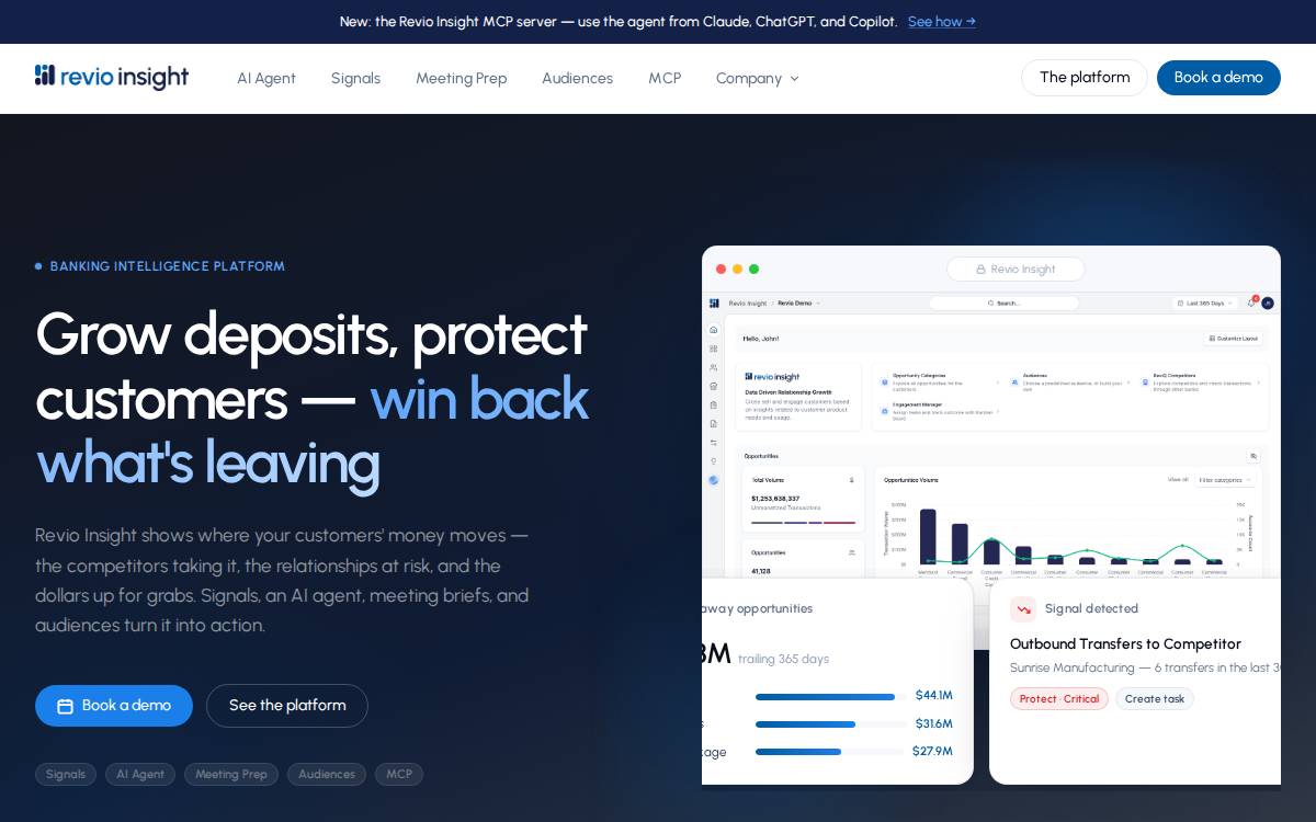 Revio Insight website preview