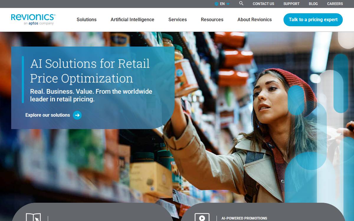 Revionics website preview