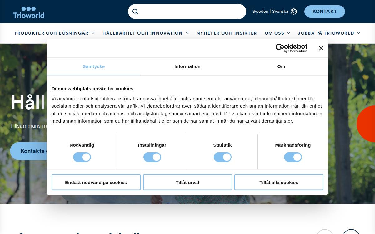 Reviva Plastics website preview