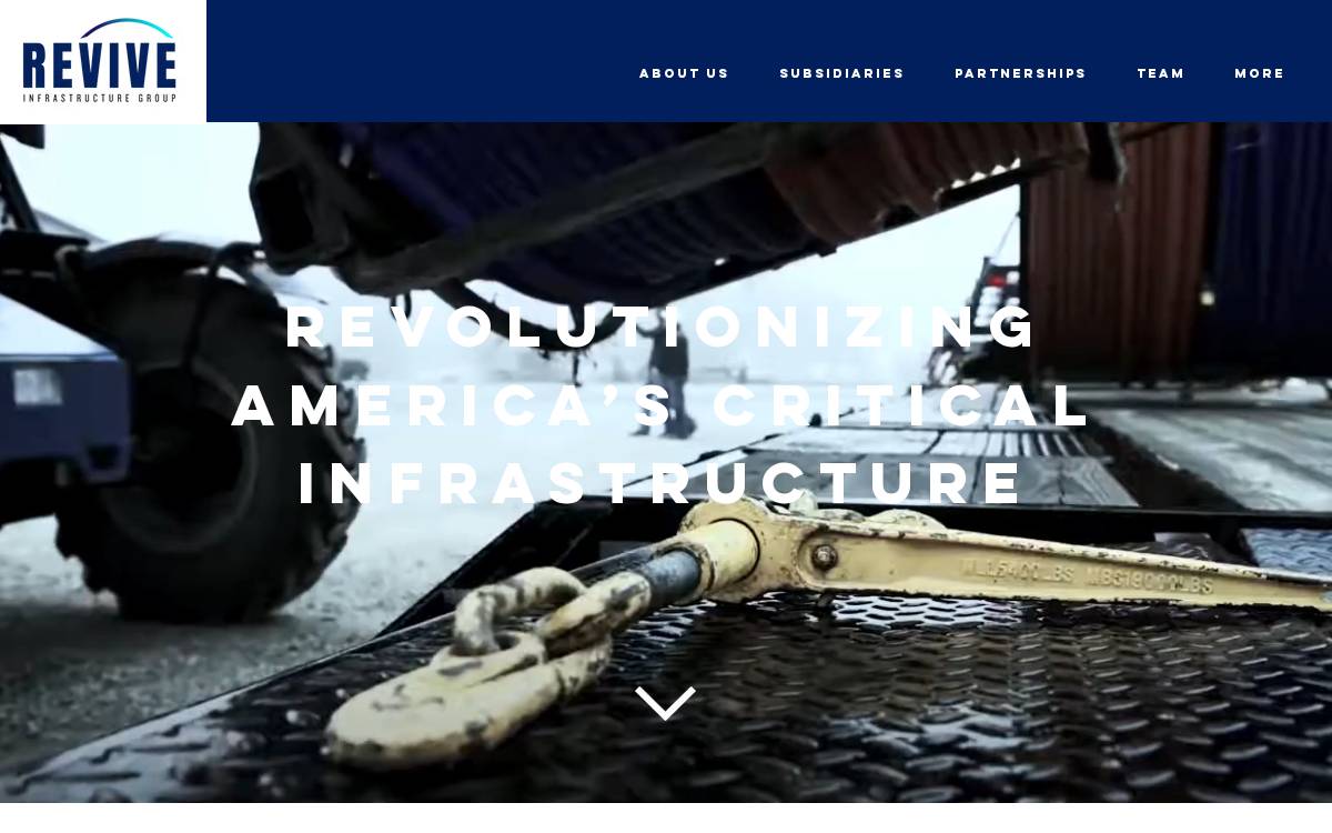 Reviveig website preview