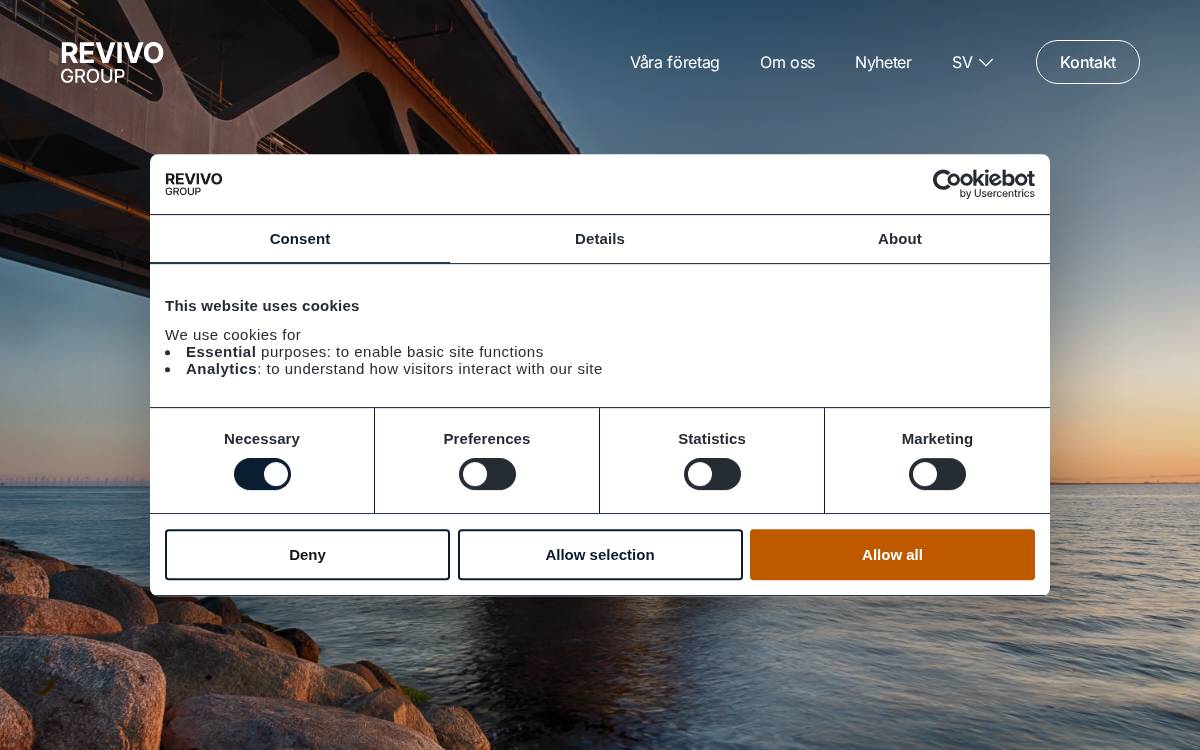 Revivo Group website preview