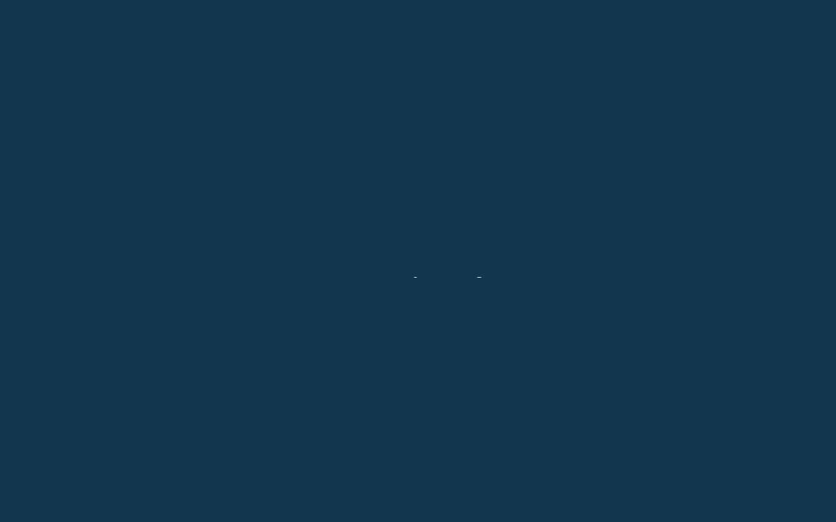 Revlifter website preview