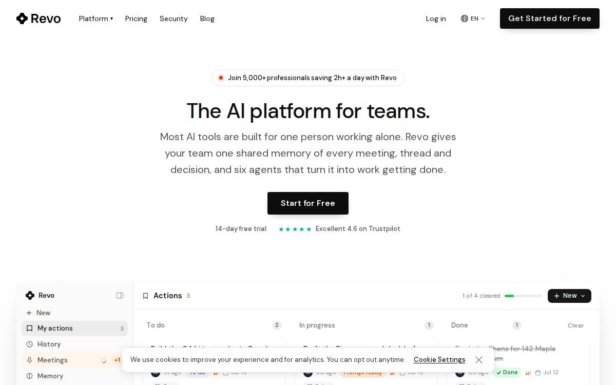 Revo website preview