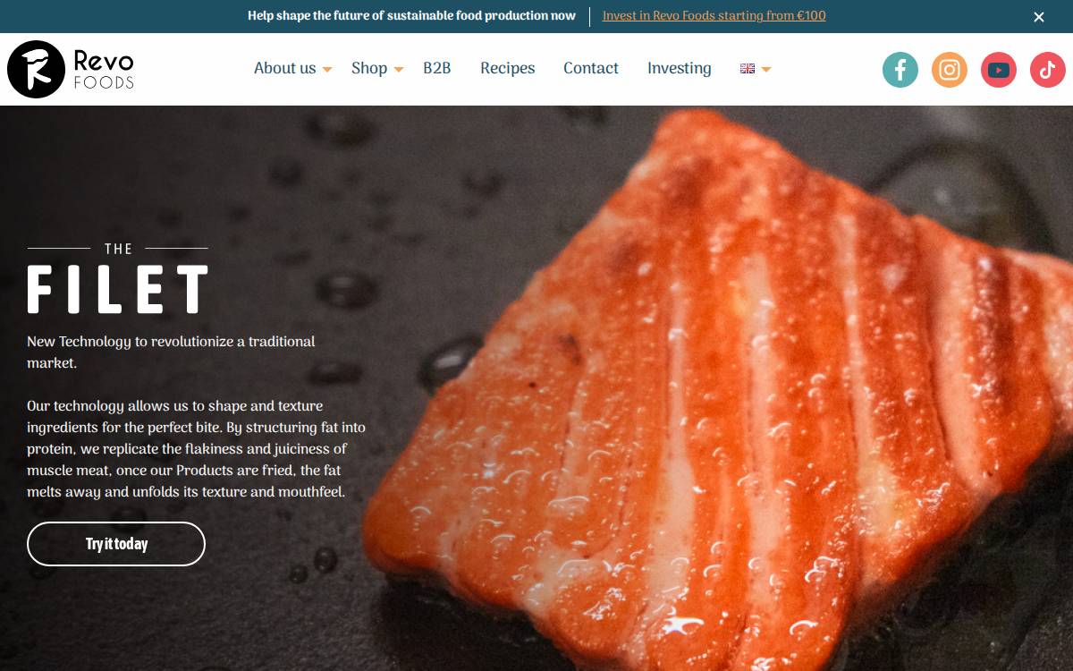 Revo Foods website preview