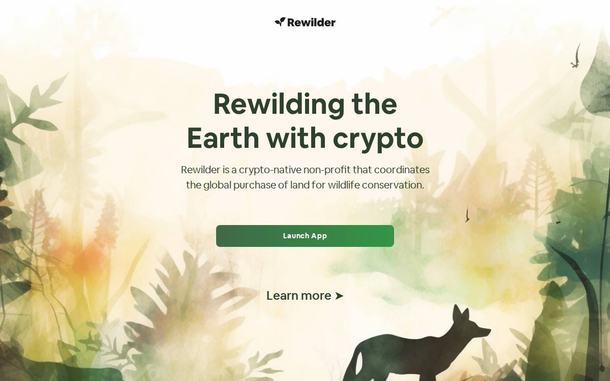 Rewilder Foundation website preview