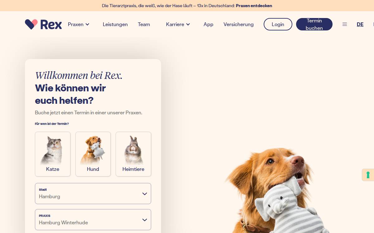 Rex website preview
