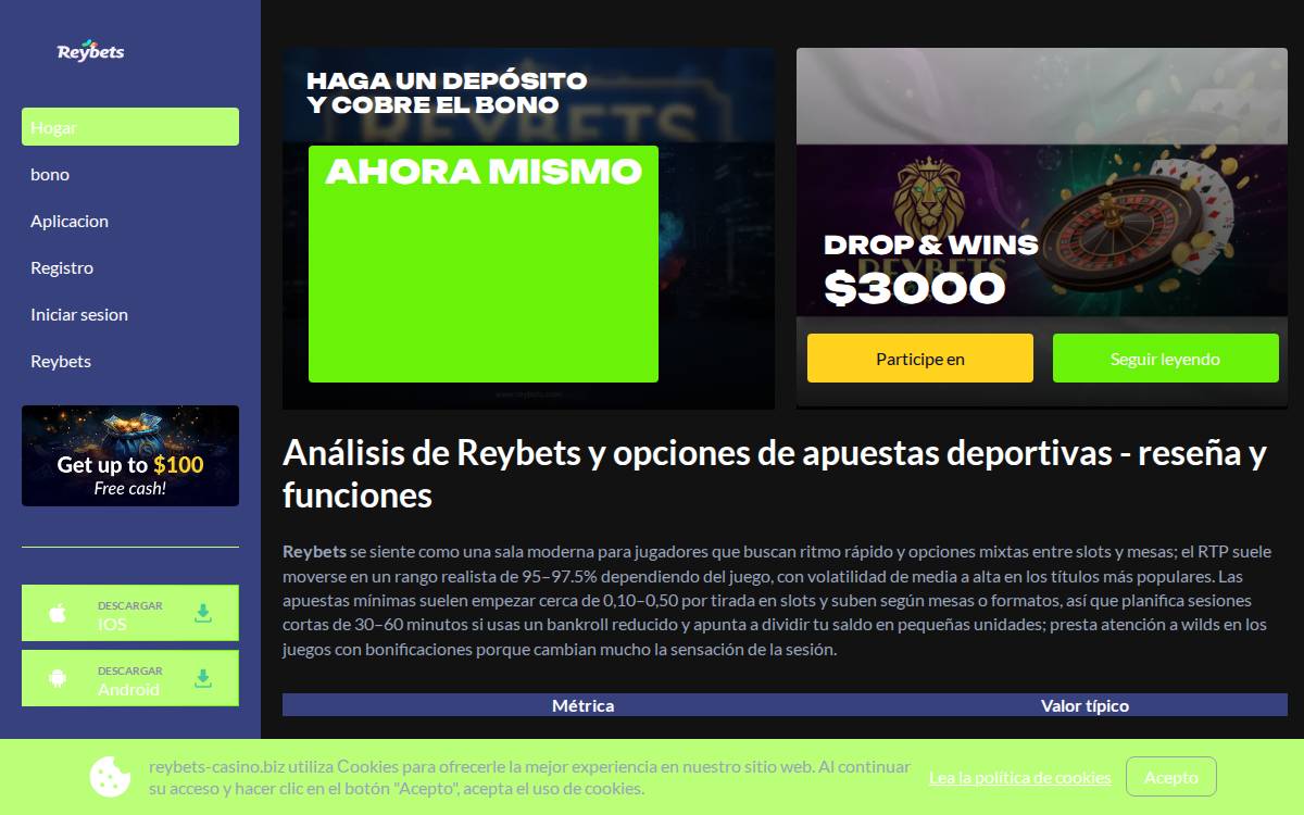 Reybets website preview