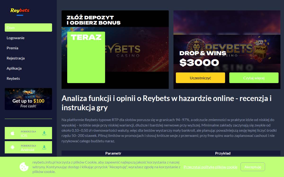 reybets casino website preview