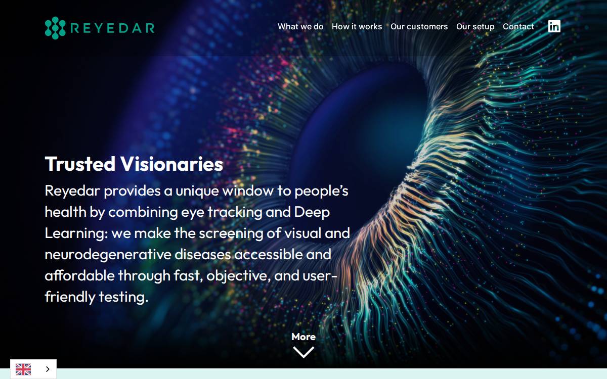 Reyedar website preview