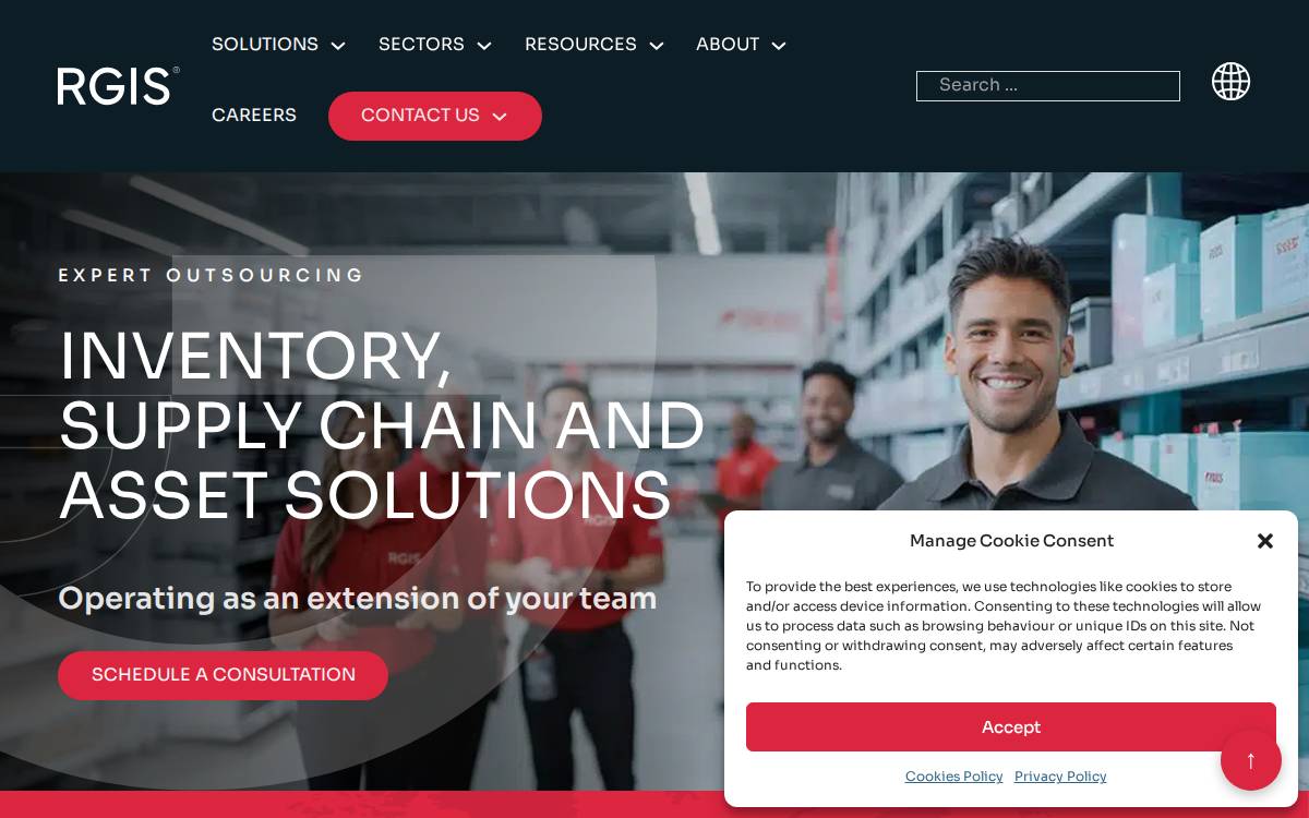 RGIS website preview