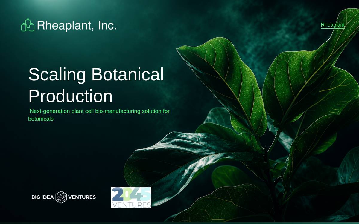 Rheaplant website preview