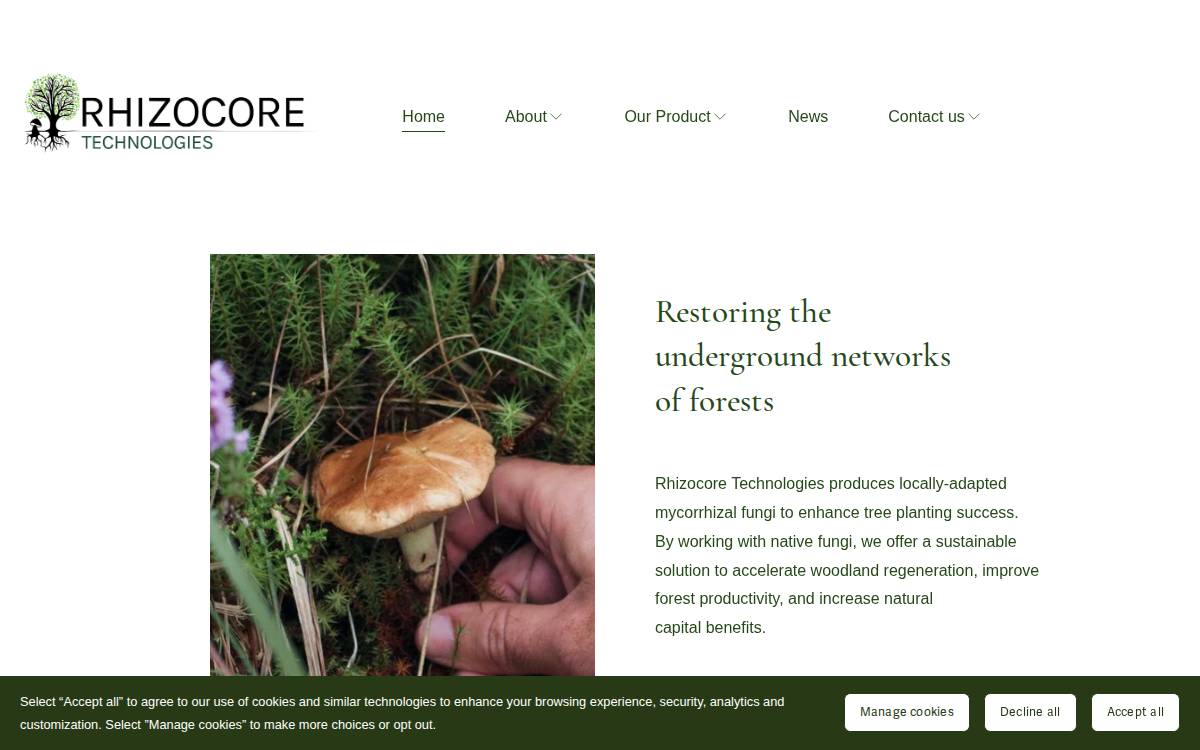 Rhizocore website preview