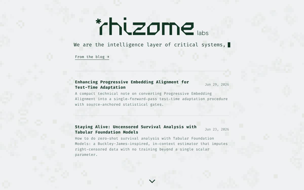 Rhizome website preview