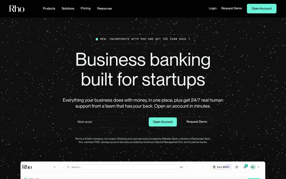 Rho website preview