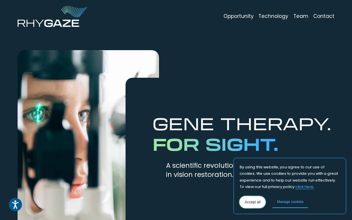 RhyGaze AG website preview