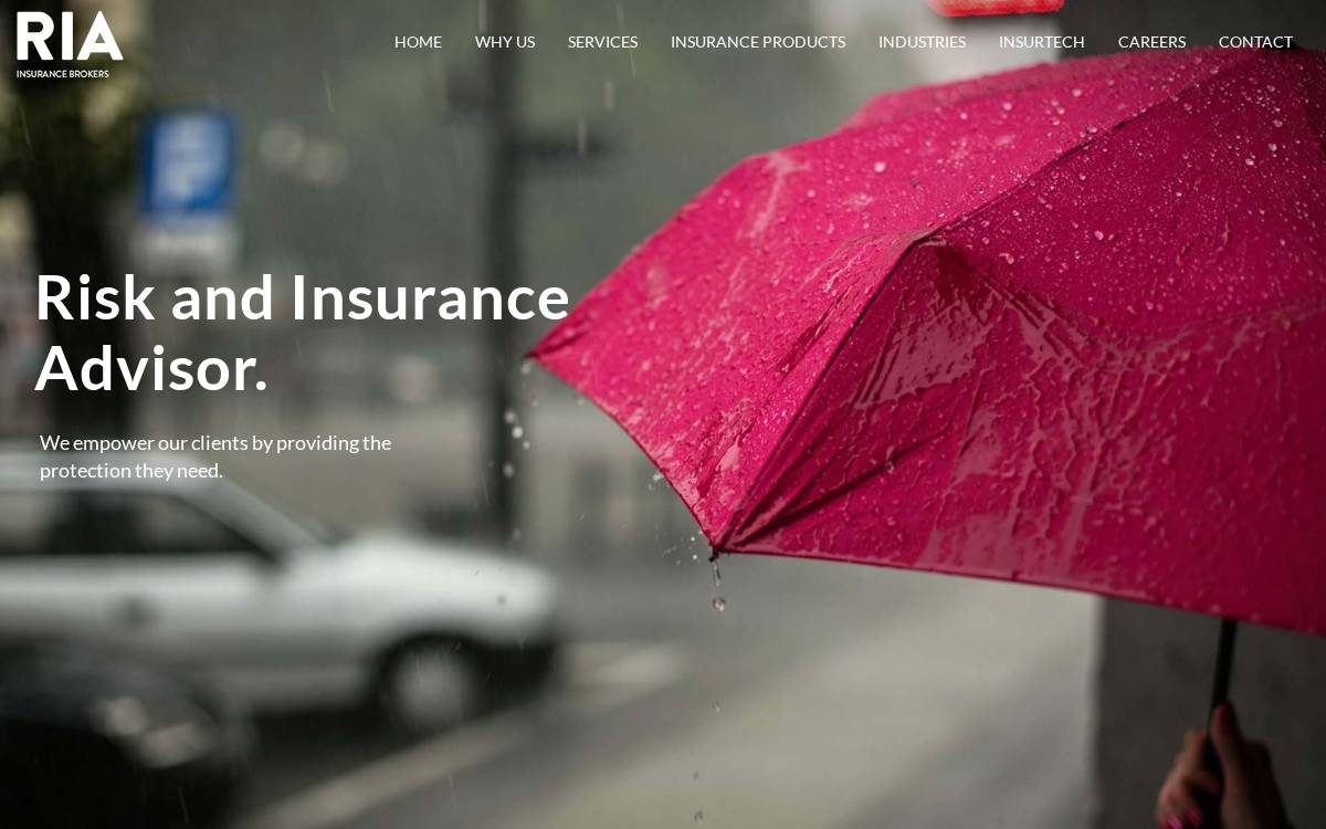 RIA website preview