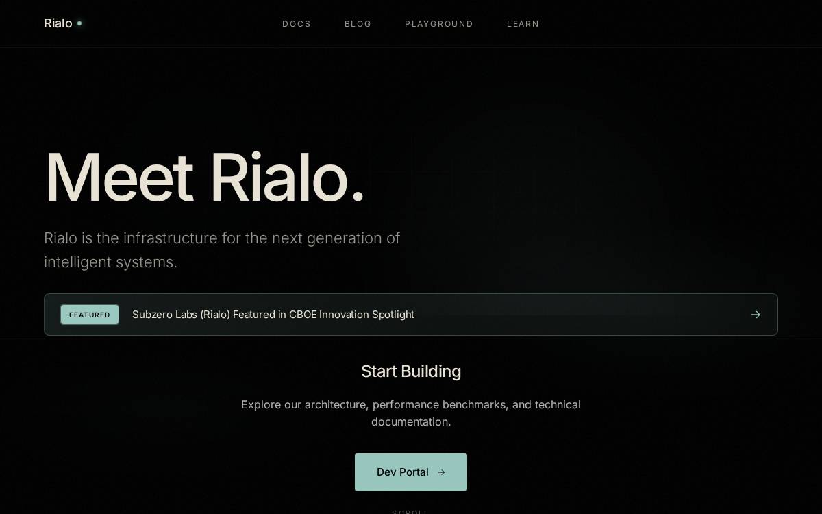 Rialo website preview