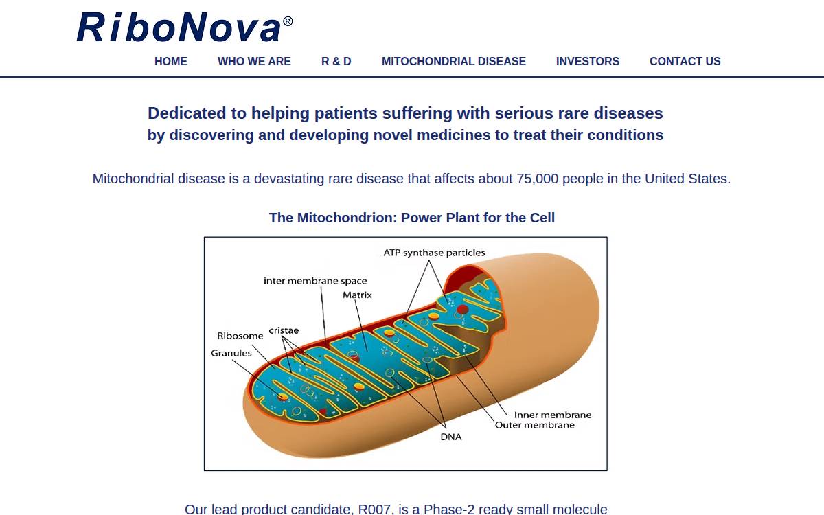 Ribonova website preview