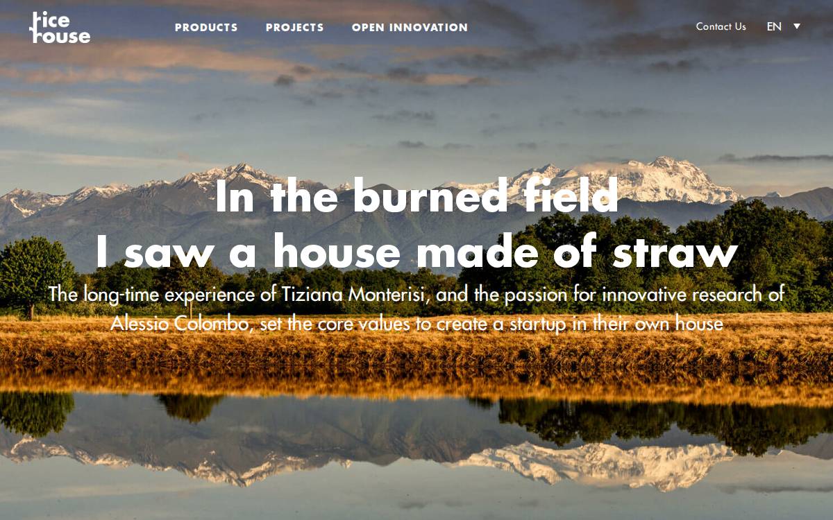 RiceHouse website preview