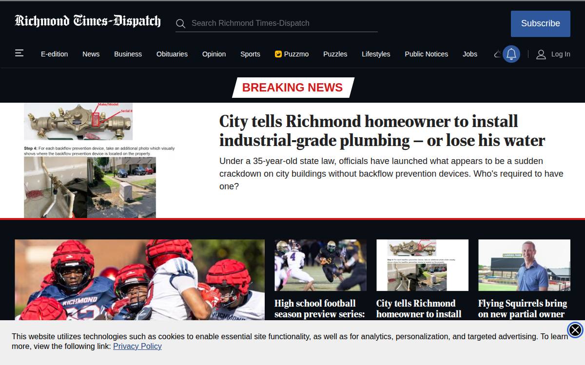 Richmond website preview