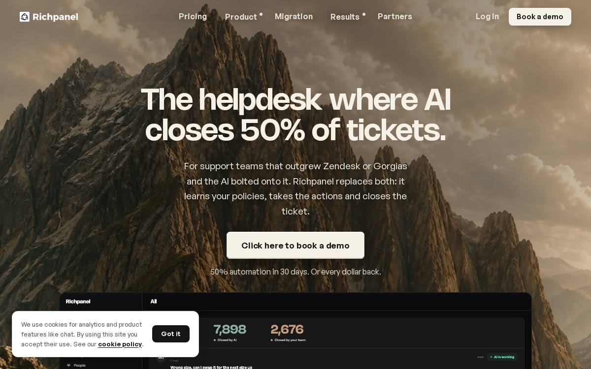 Richpanel website preview