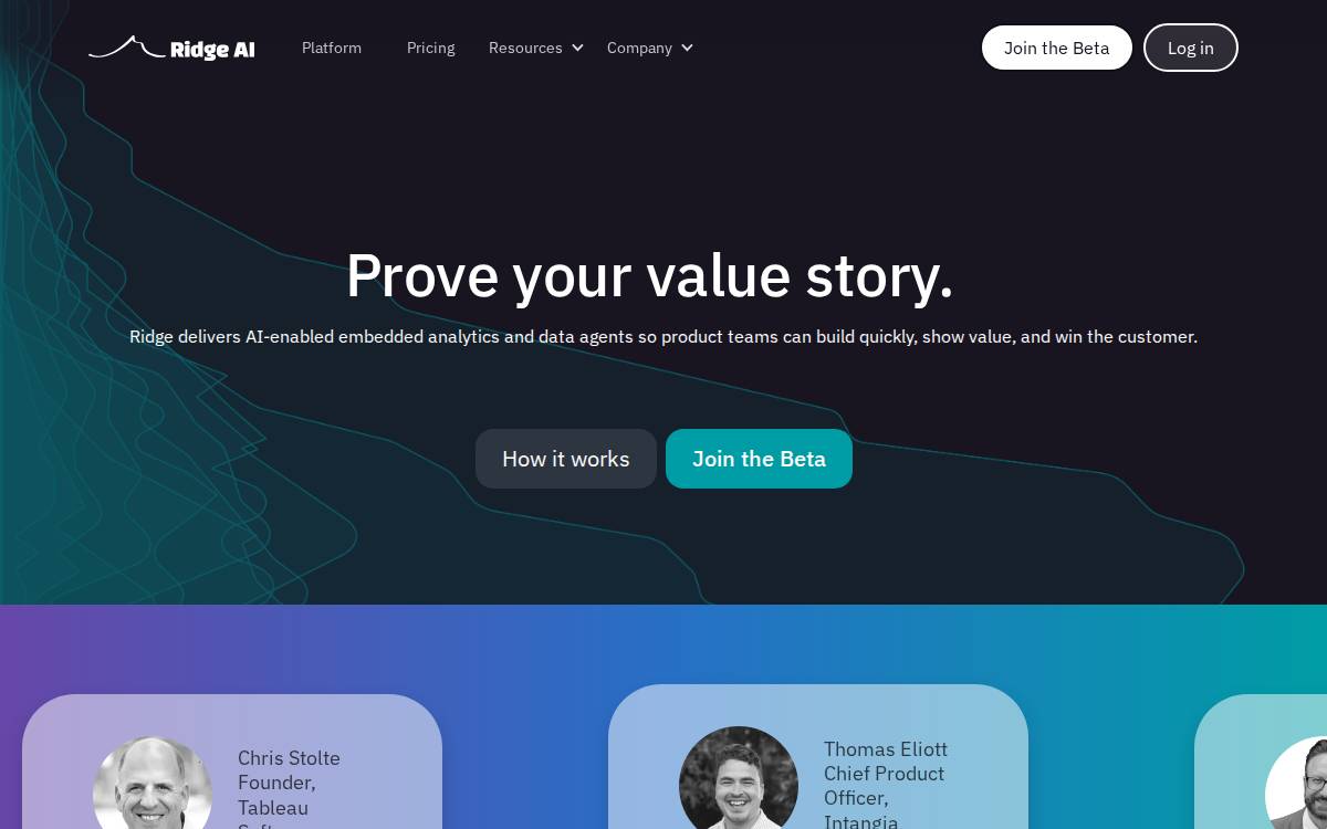 Ridgedata website preview