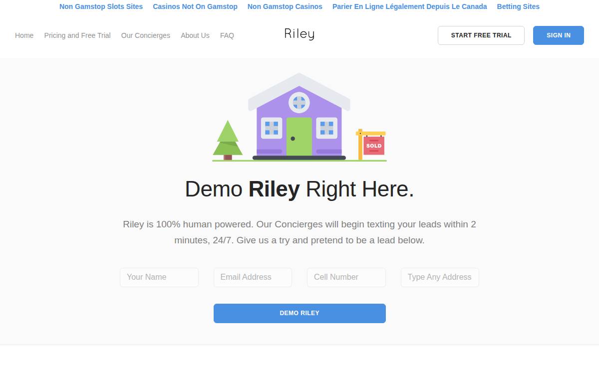 Riley website preview