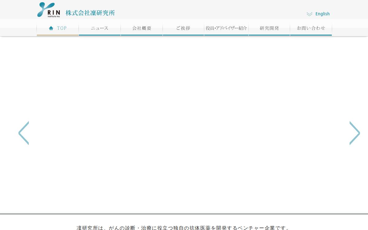 Rin Institute website preview