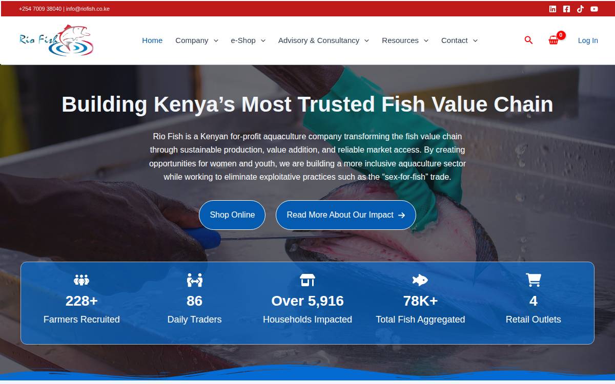 rio fish website preview