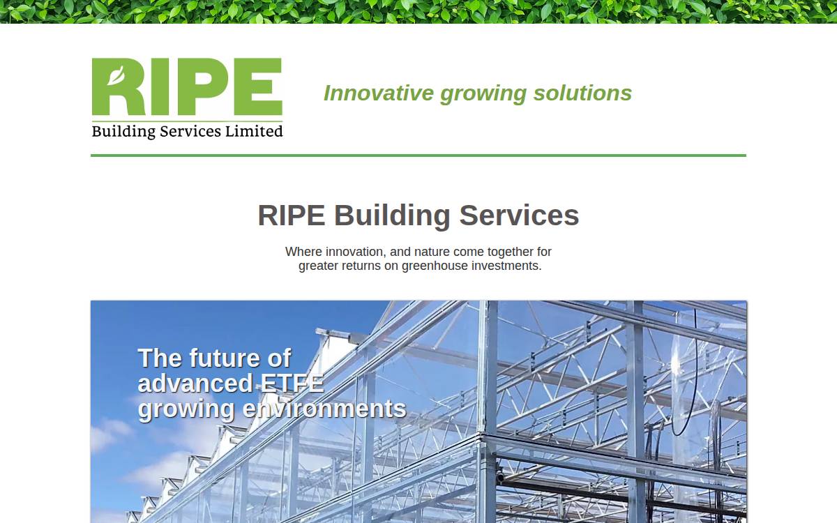 RIPE Building Services Seed website preview
