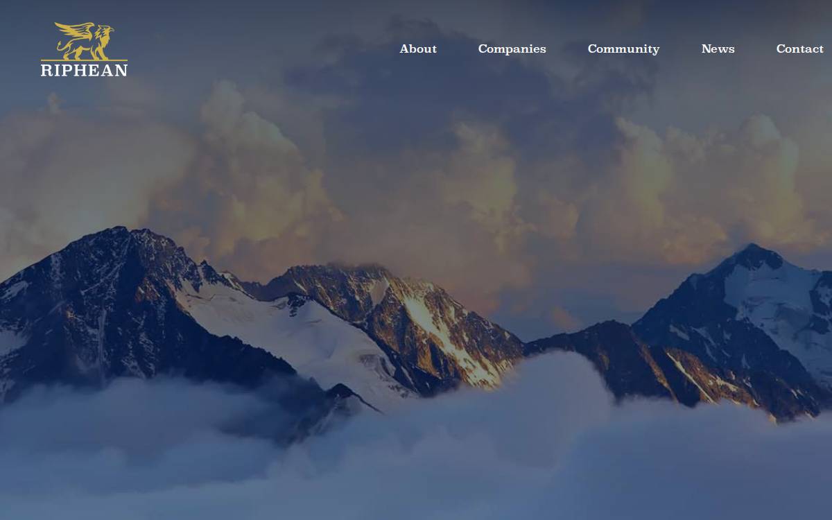 Ripheangroup website preview