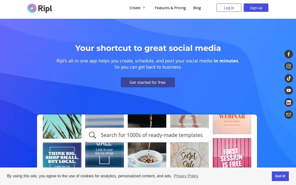 Ripl website preview
