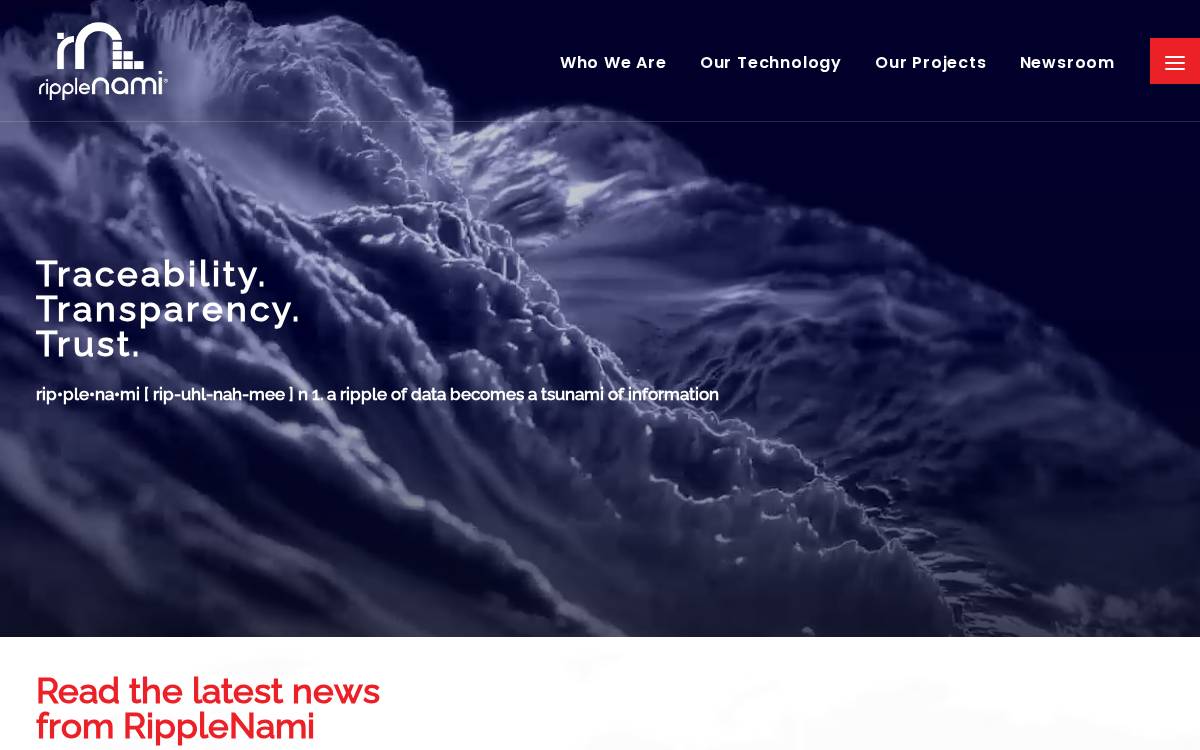 RippleNami website preview