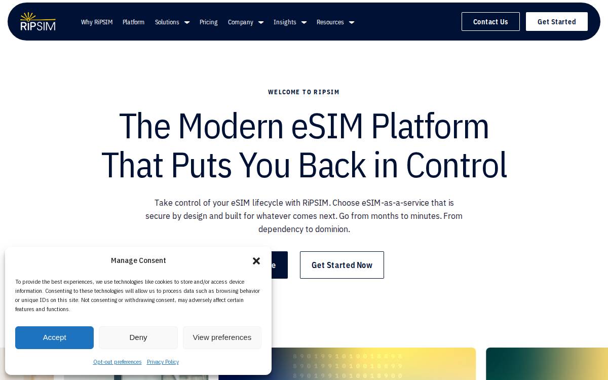 Ripsim website preview